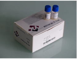 STA ROUTINE QC 2ml PLUS - 00714